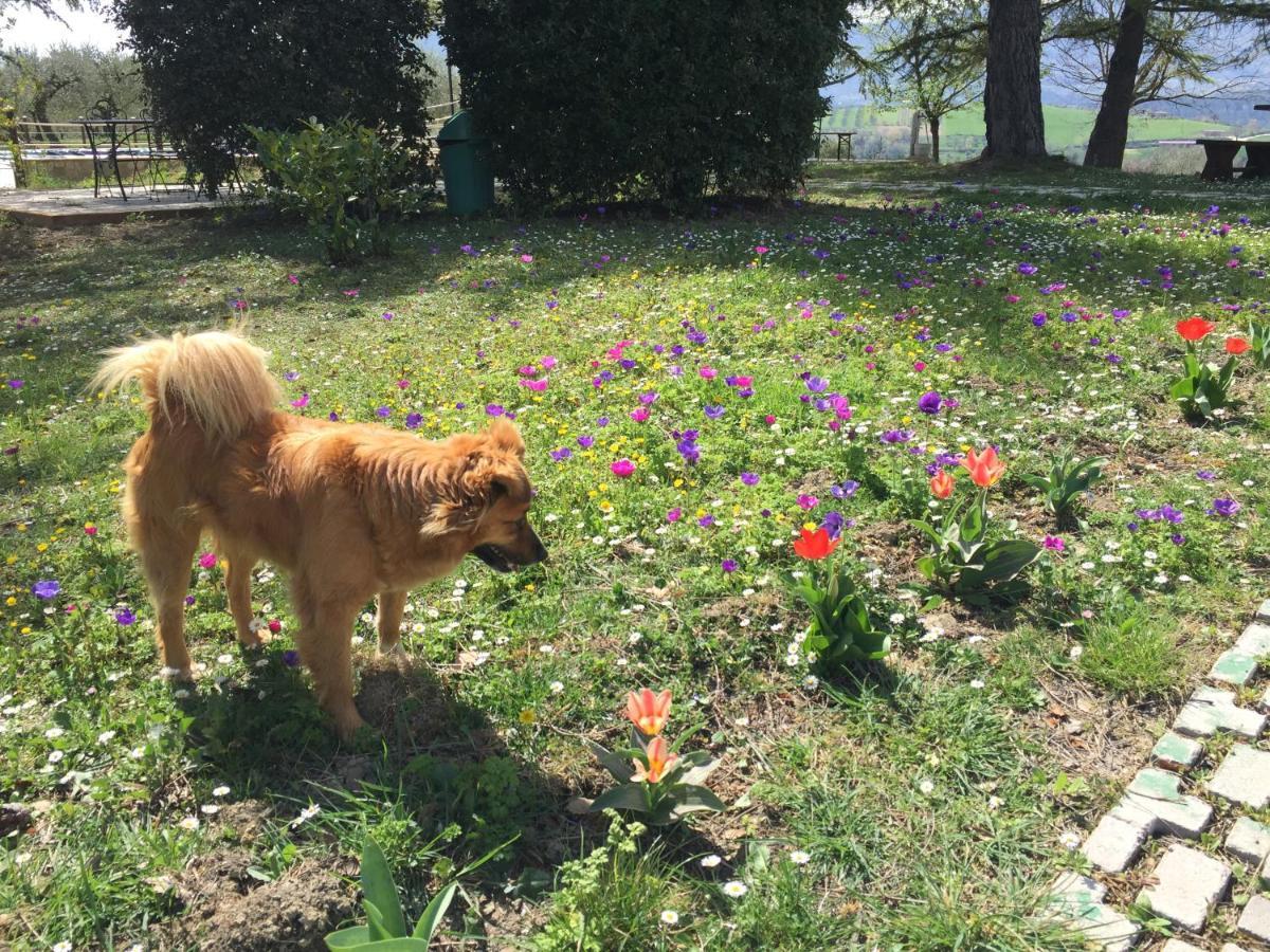 스폴레토 Casale Fusco 빌라 외부 사진